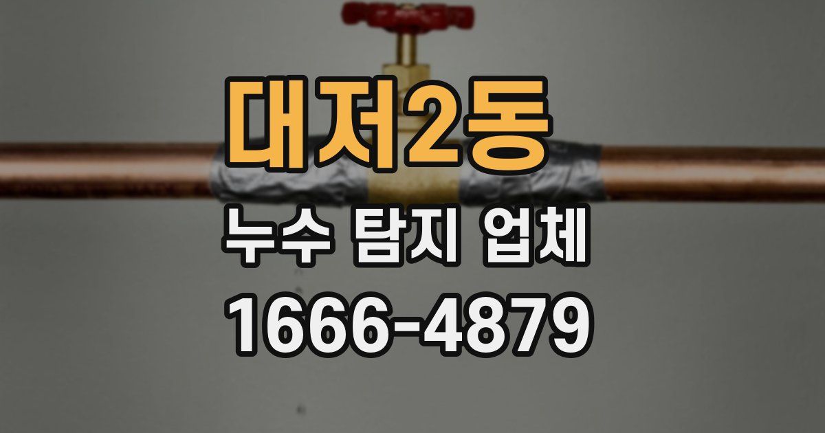 대저2동 누수 탐지 업체