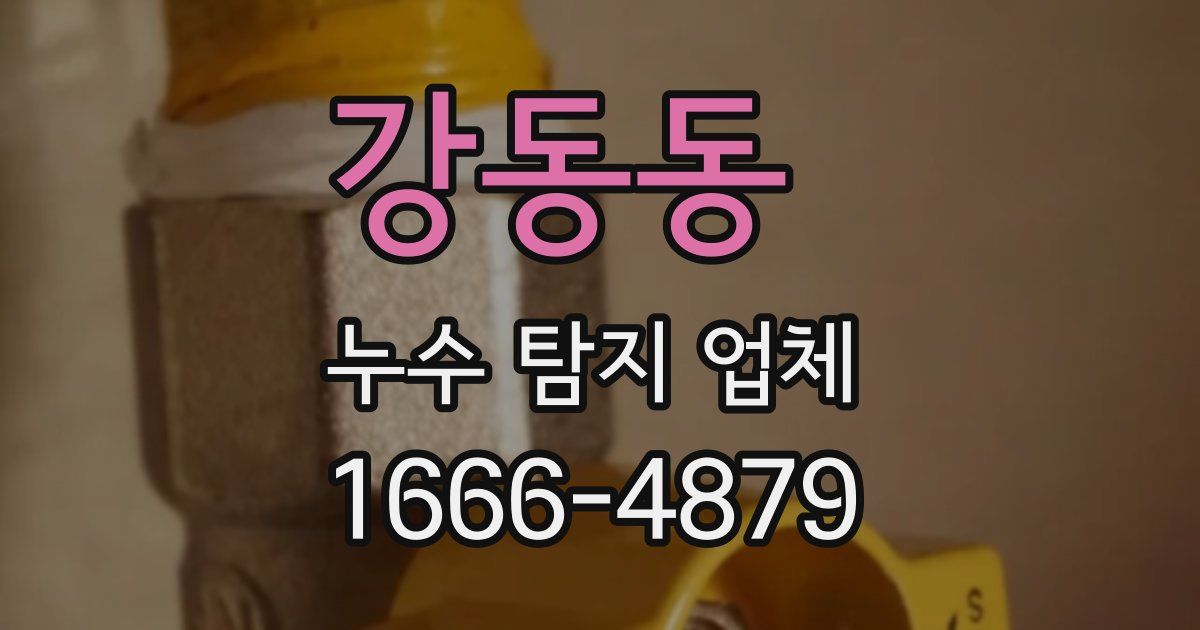 강동동 누수 탐지 업체