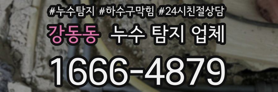 강동동 누수 탐지 업체