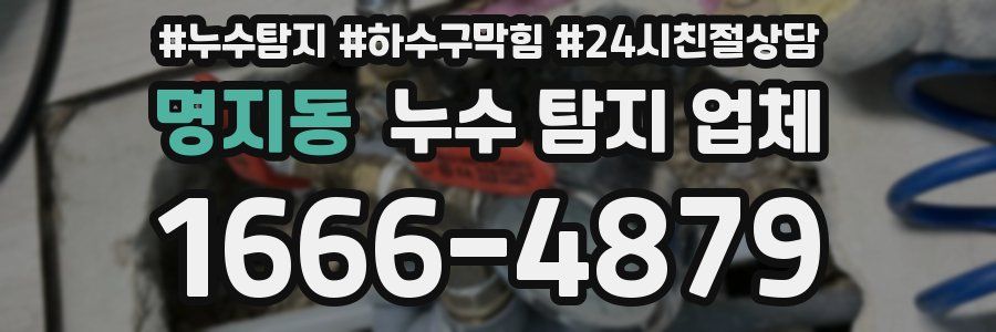 명지동 누수 탐지 업체