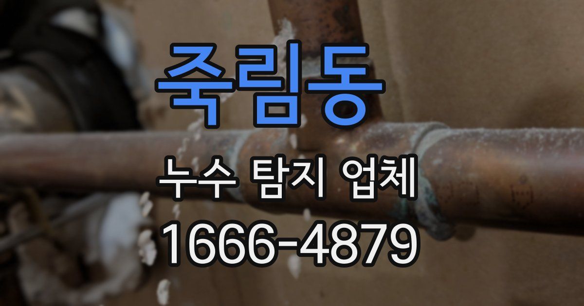죽림동 누수 탐지 업체