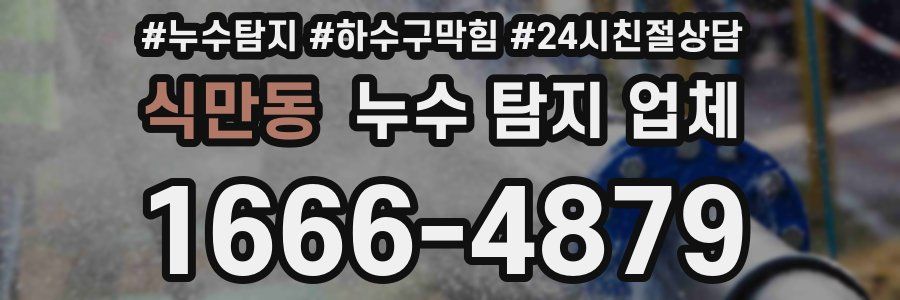 식만동 누수 탐지 업체