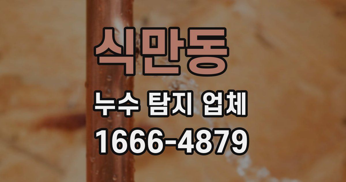 식만동 누수 탐지 업체