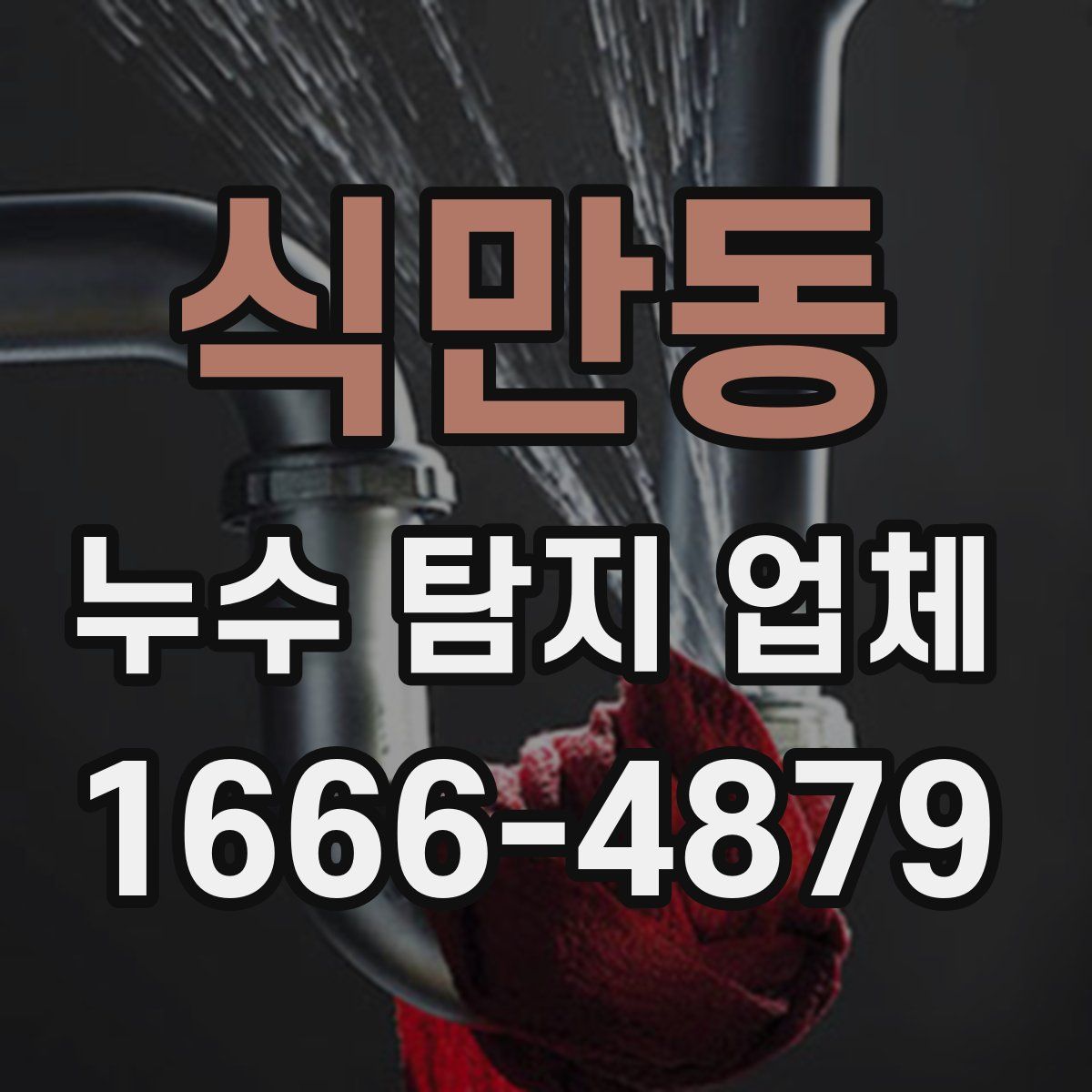 식만동 누수 탐지 업체