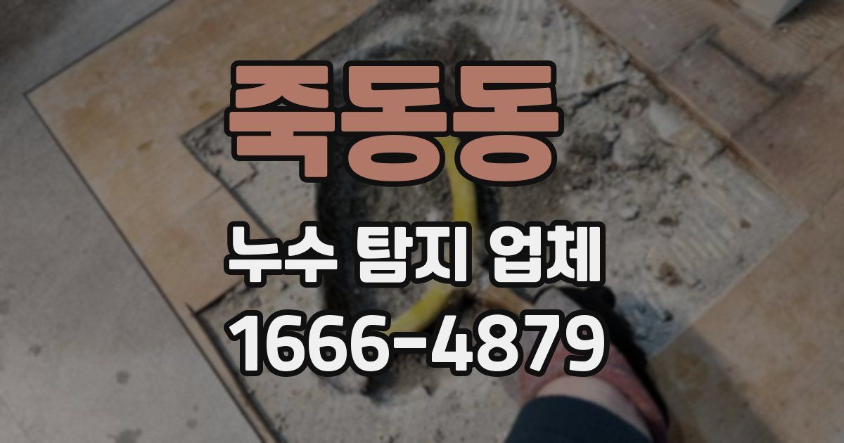 죽동동 누수 탐지 업체