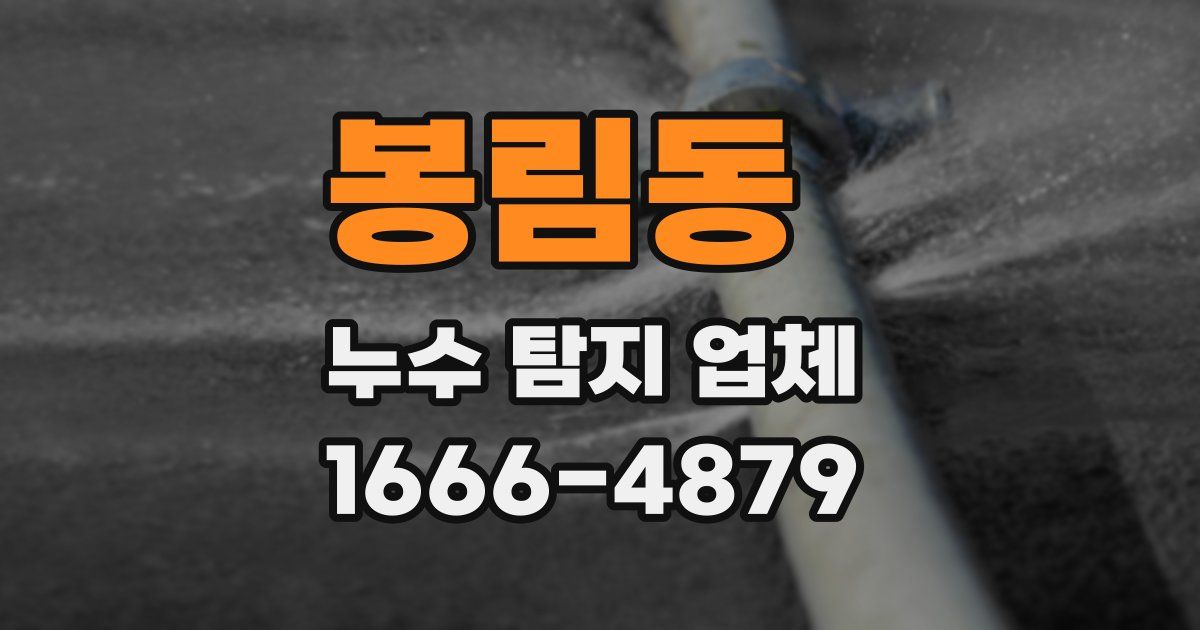 봉림동 누수 탐지 업체