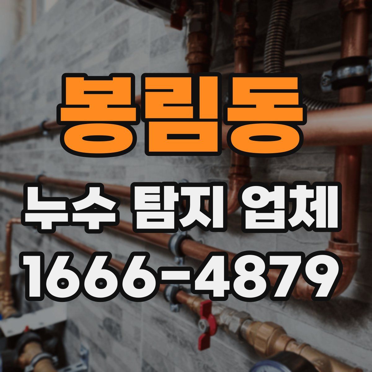 봉림동 누수 탐지 업체