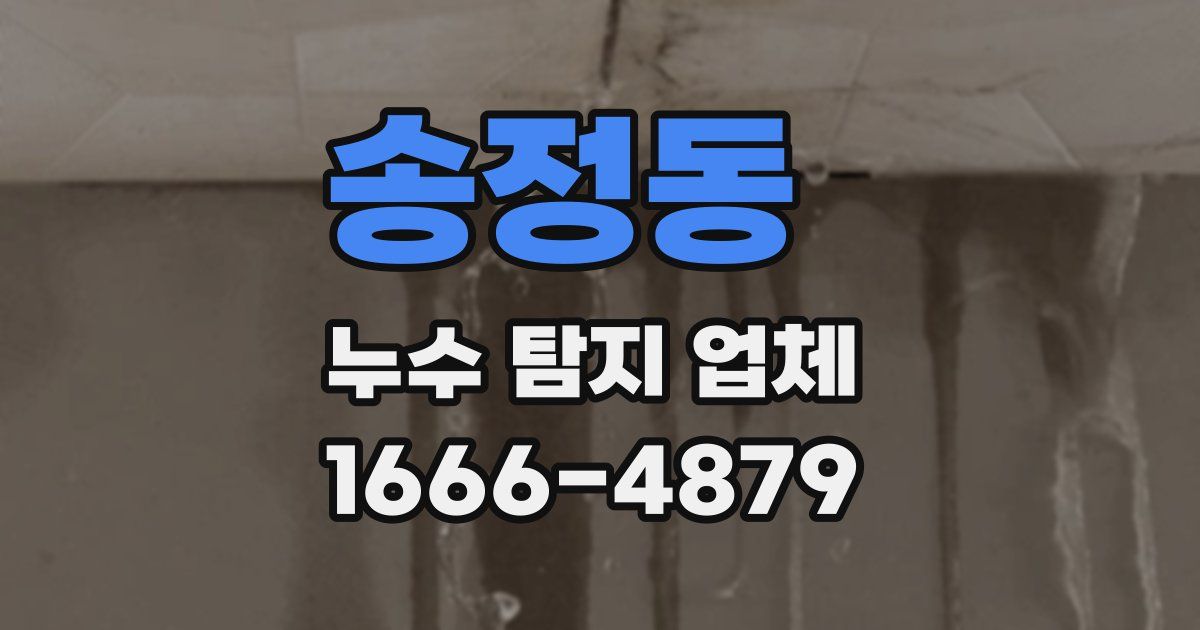 송정동 누수 탐지 업체