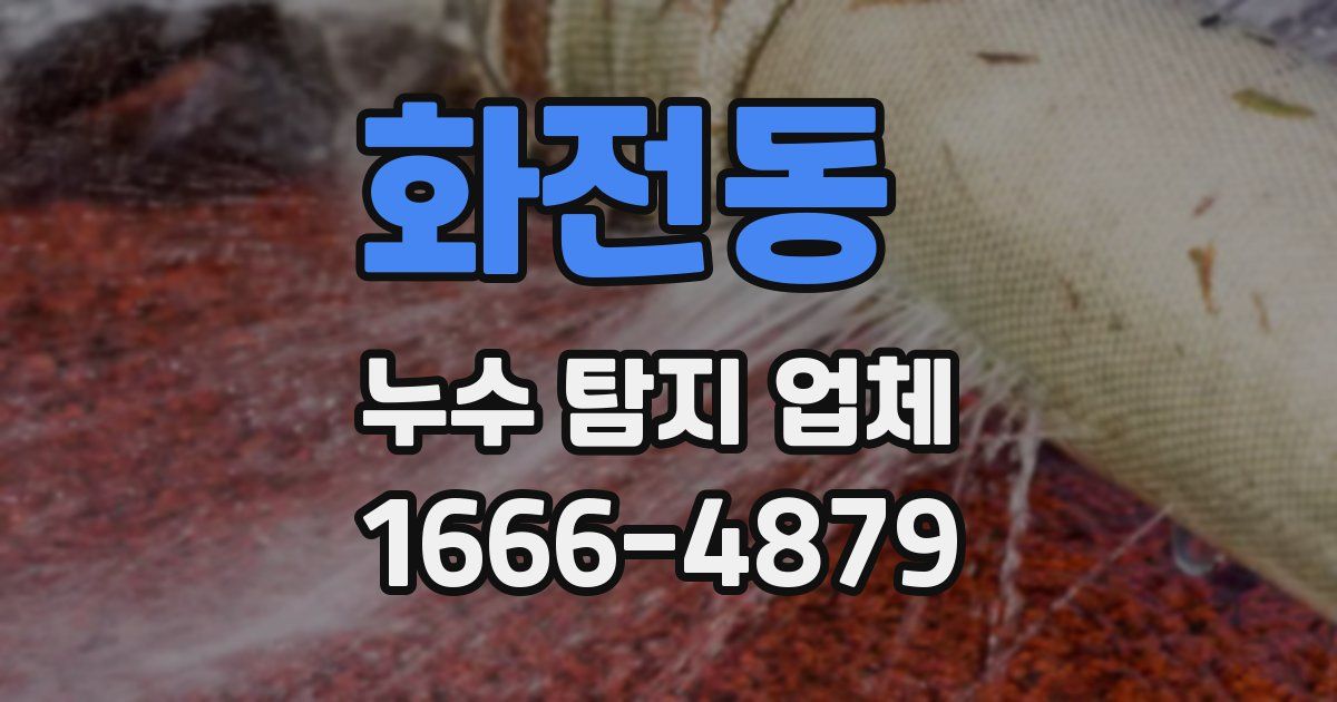 화전동 누수 탐지 업체