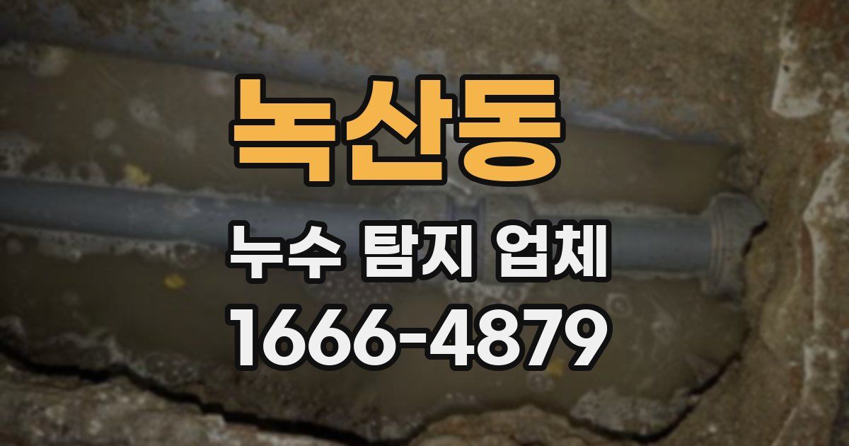 녹산동 누수 탐지 업체