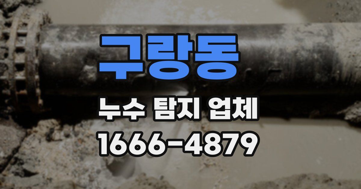 구랑동 누수 탐지 업체