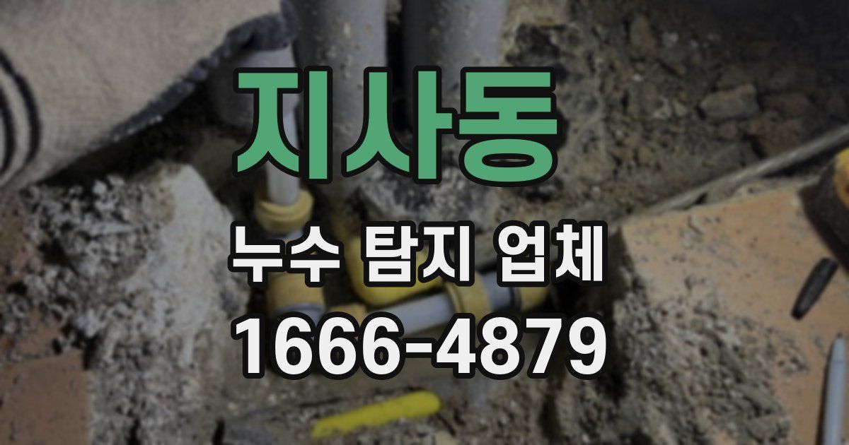 지사동 누수 탐지 업체