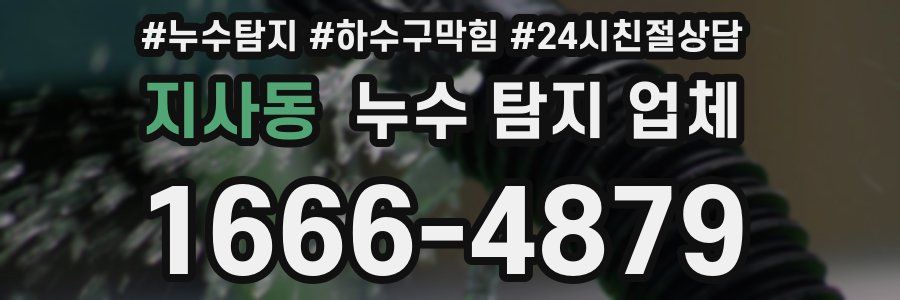 지사동 누수 탐지 업체