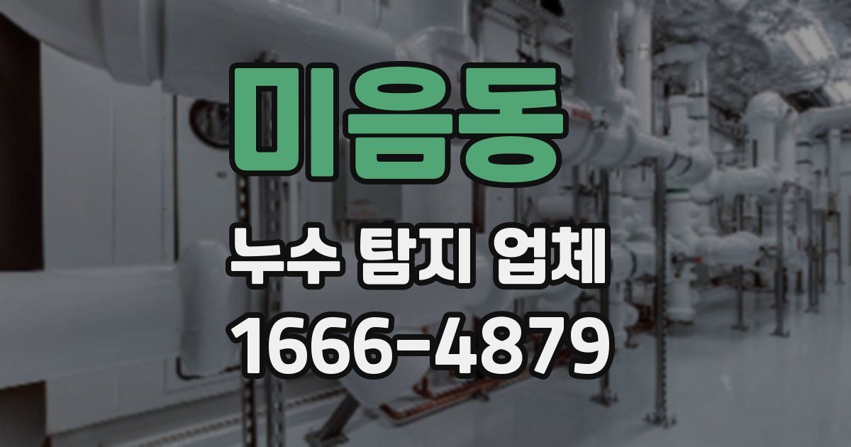 미음동 누수 탐지 업체