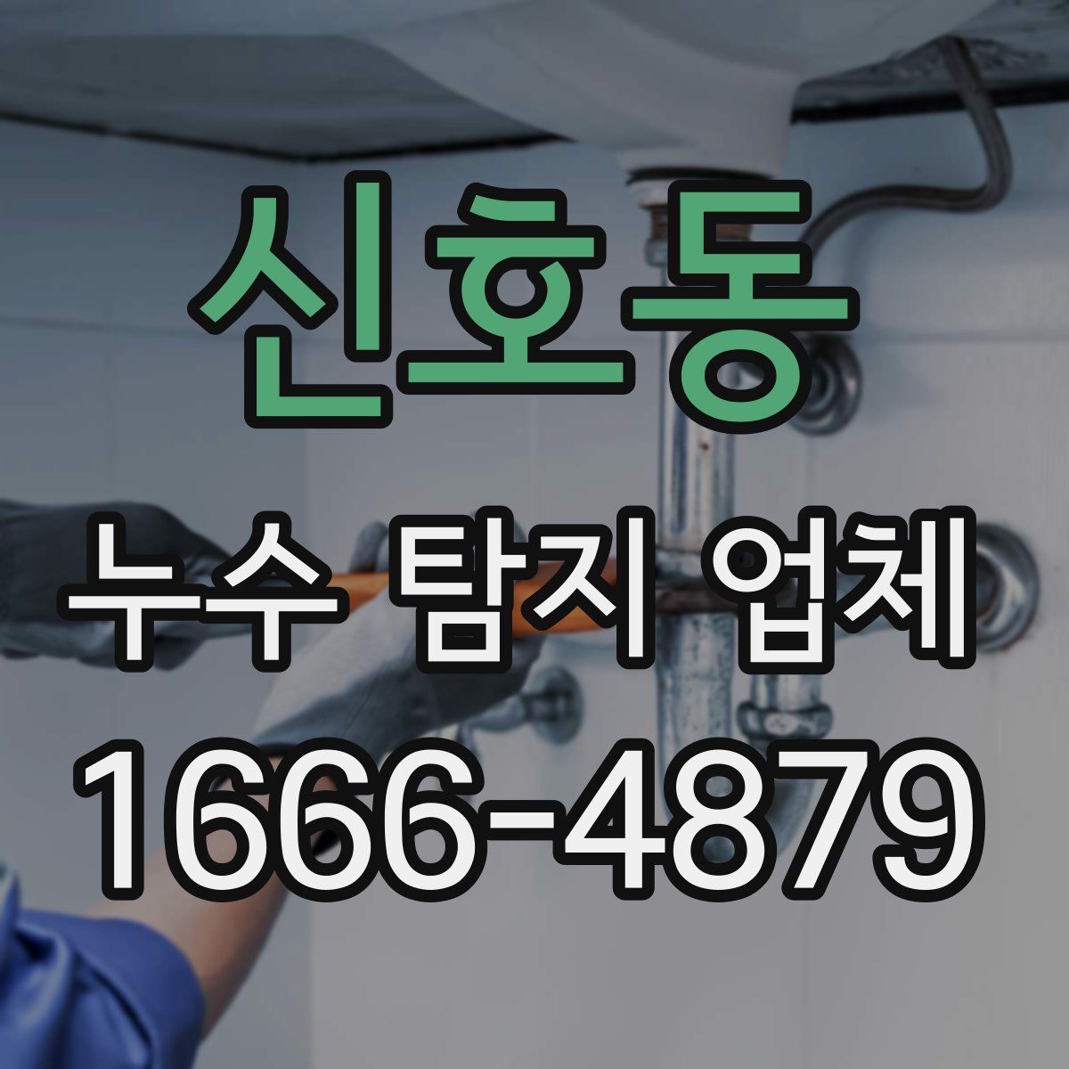 신호동 누수 탐지 업체