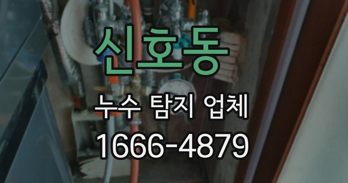 신호동 누수 탐지 업체