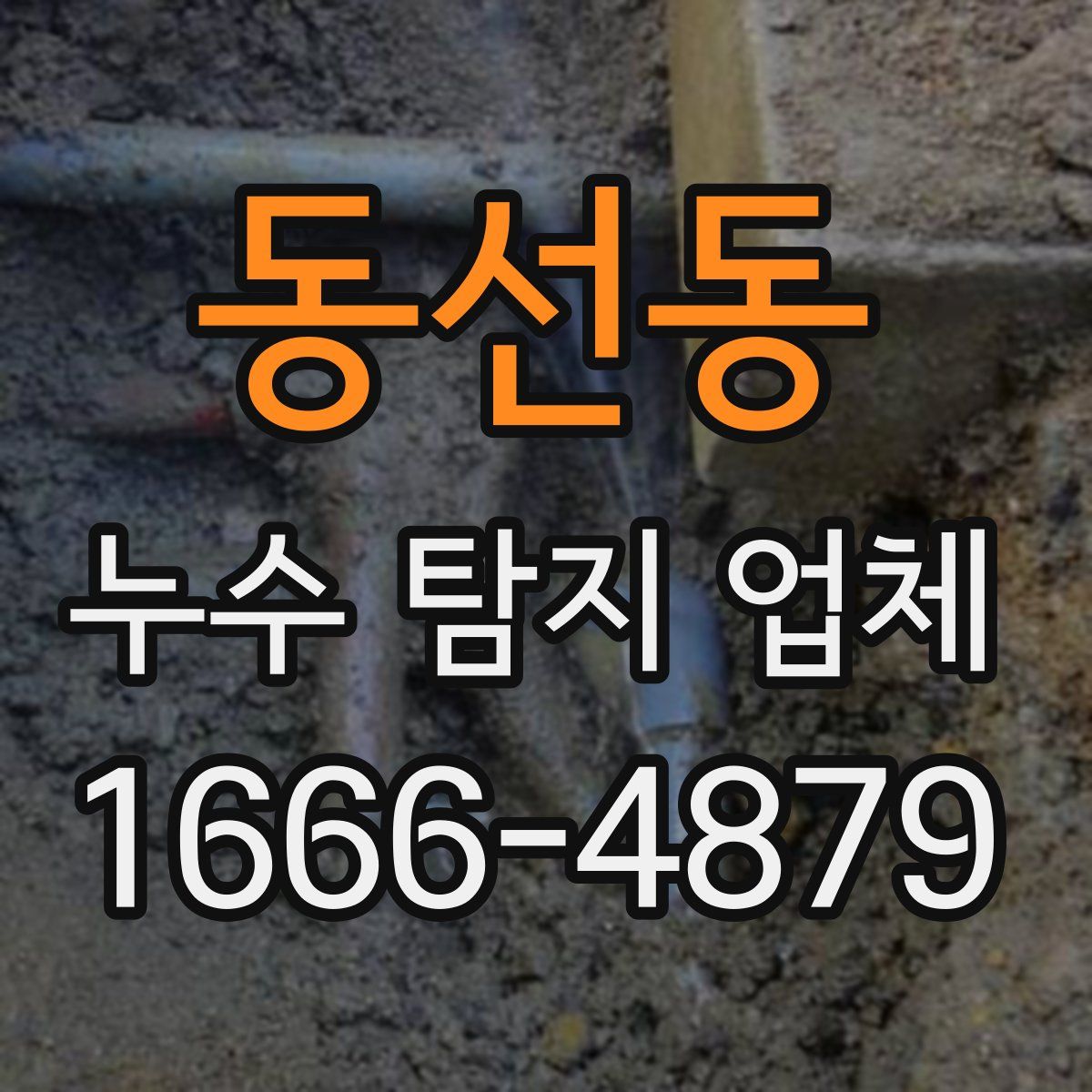 동선동 누수 탐지 업체