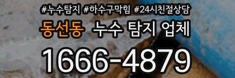동선동 누수 탐지 업체
