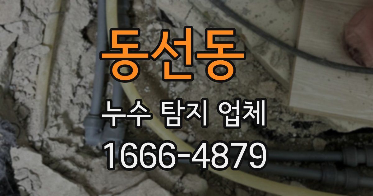 동선동 누수 탐지 업체