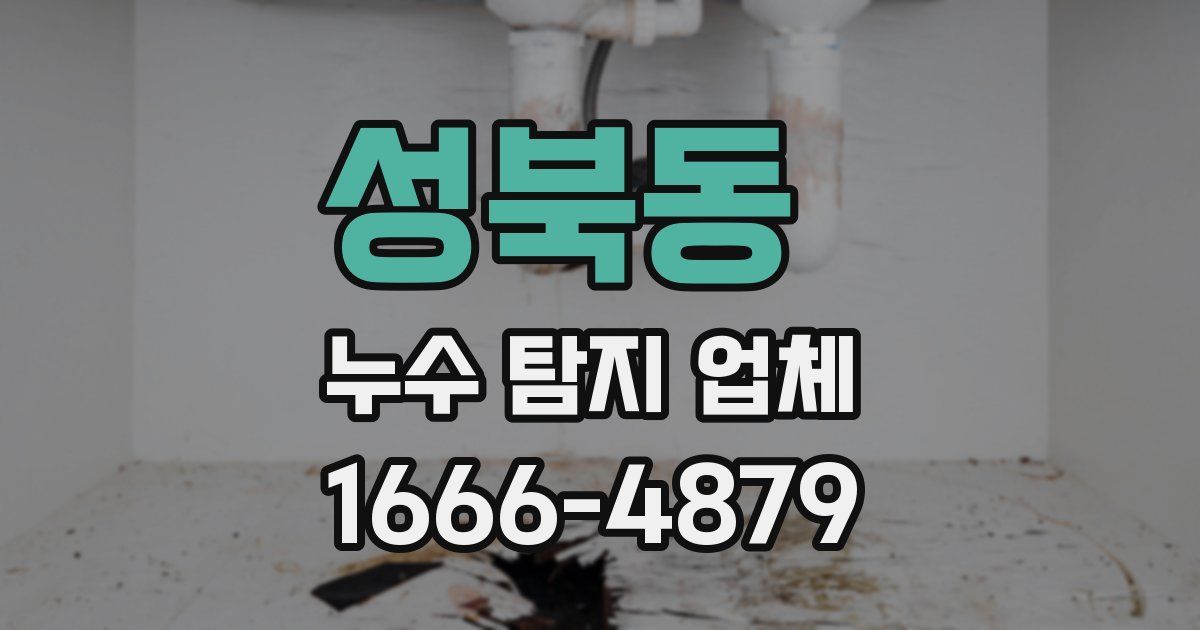 성북동 누수 탐지 업체