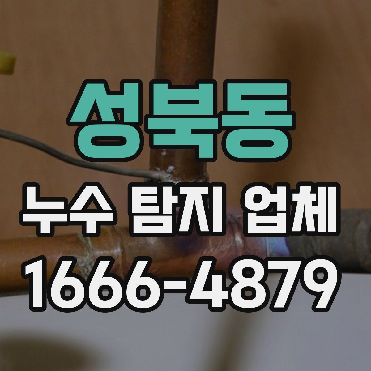 성북동 누수 탐지 업체