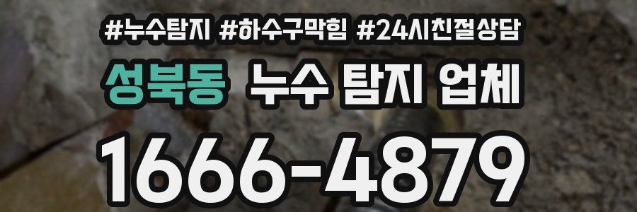 성북동 누수 탐지 업체