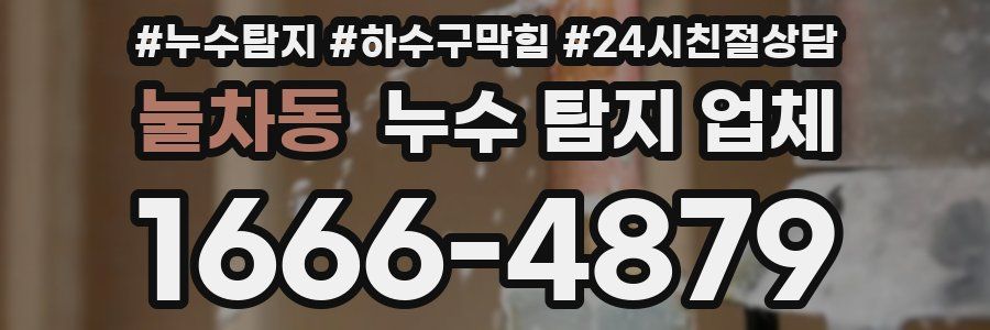눌차동 누수 탐지 업체