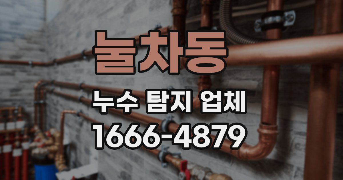 눌차동 누수 탐지 업체