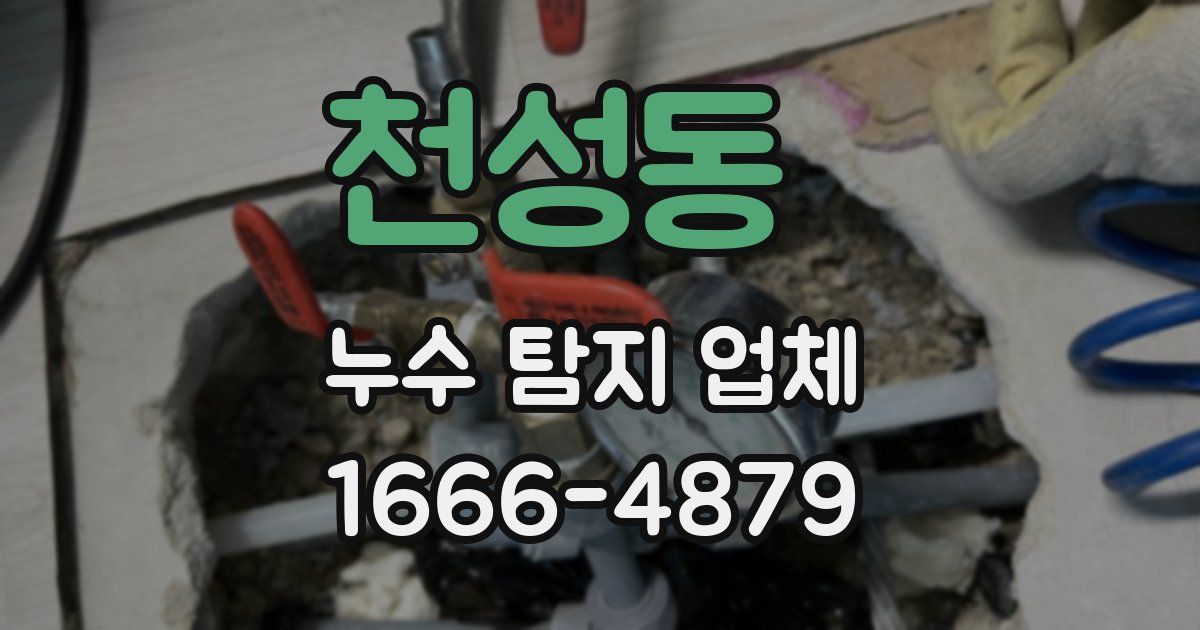 천성동 누수 탐지 업체