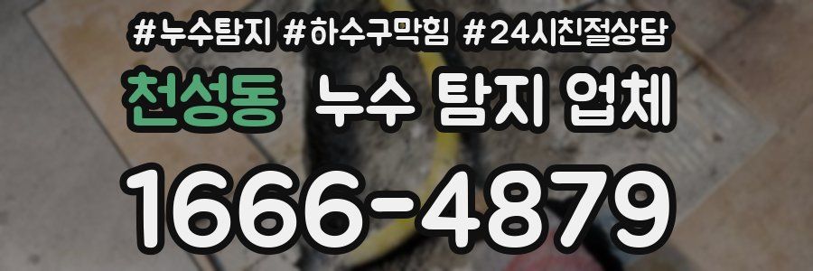 천성동 누수 탐지 업체