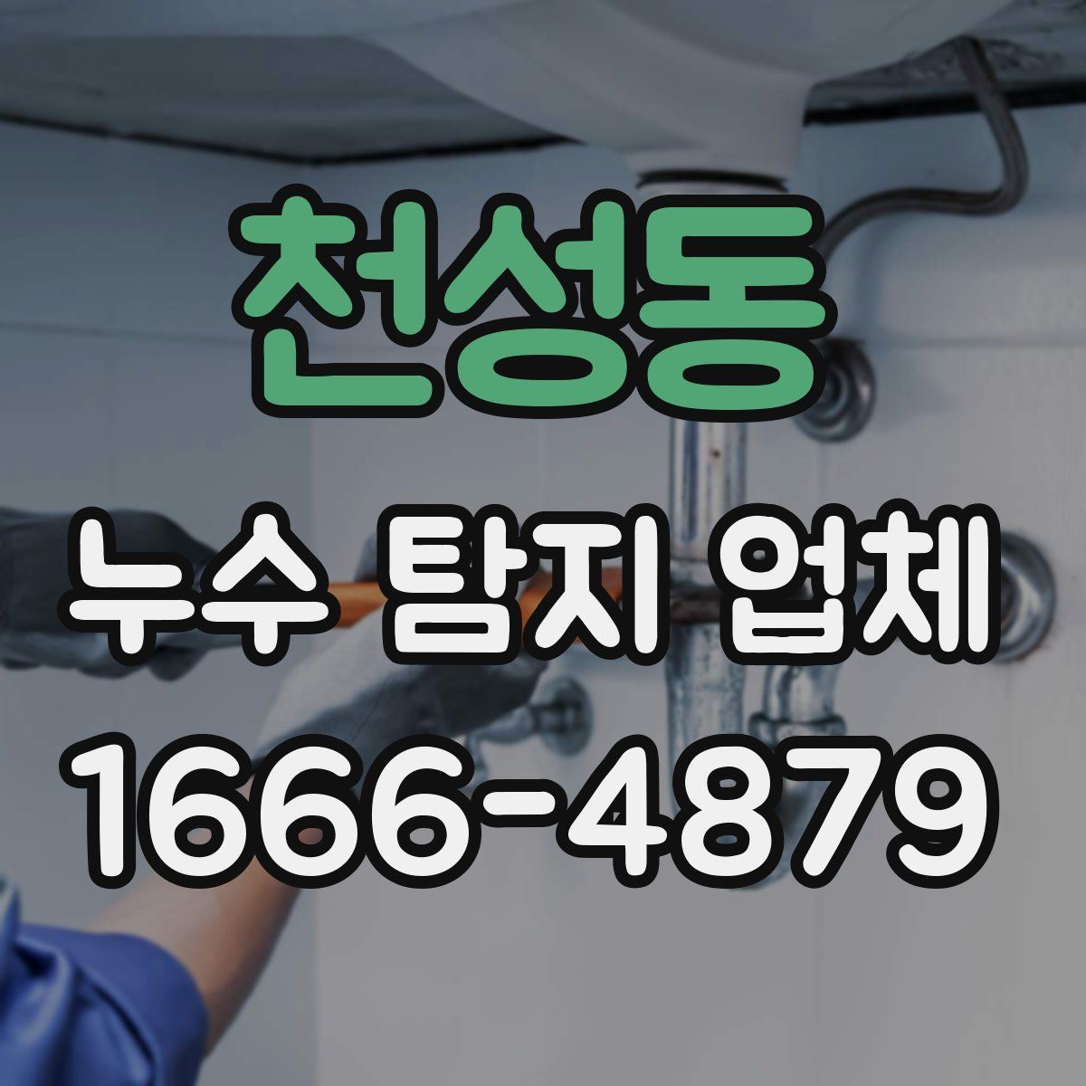 천성동 누수 탐지 업체