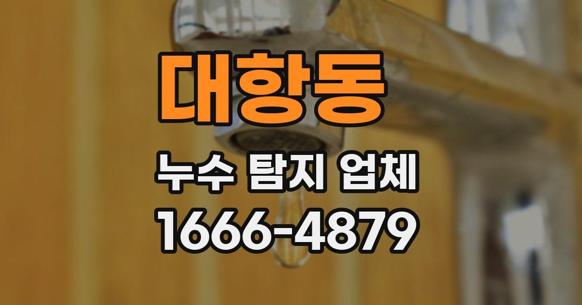 대항동 누수 탐지 업체