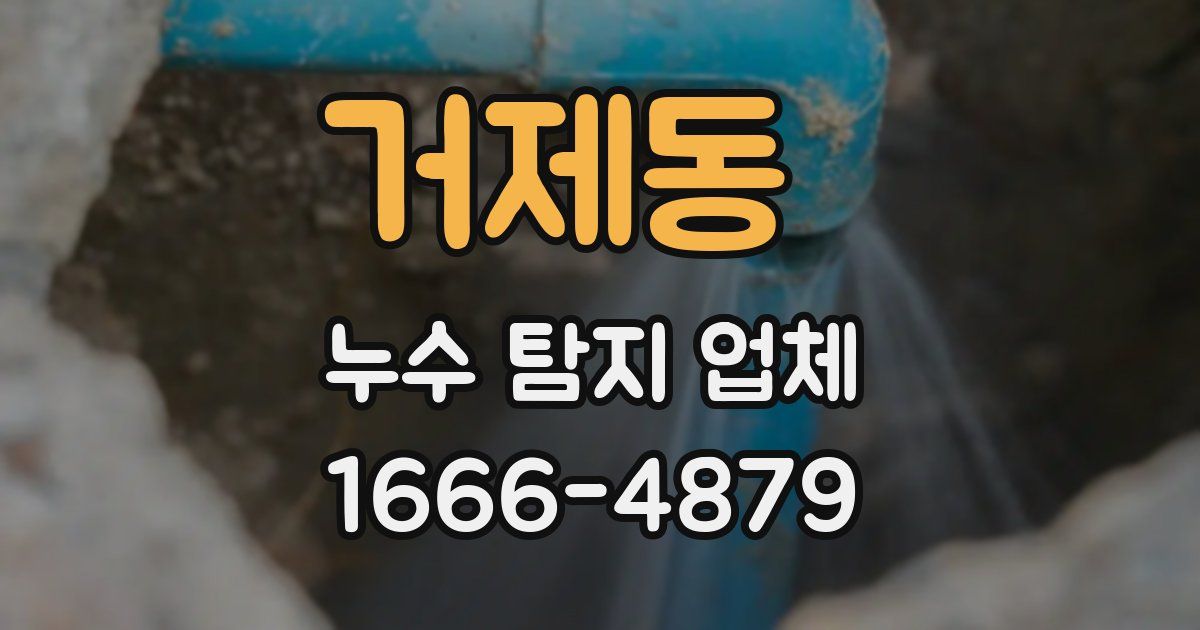 거제동 누수 탐지 업체