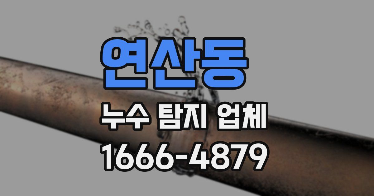 연산동 누수 탐지 업체