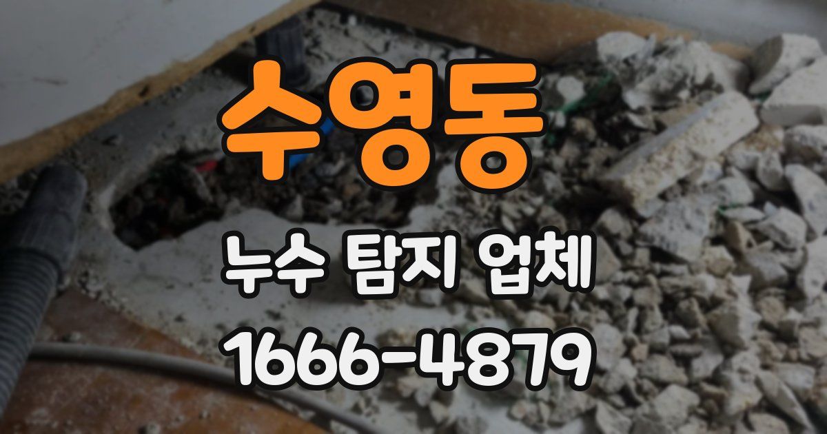 수영동 누수 탐지 업체