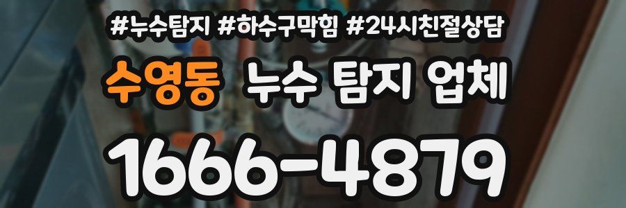수영동 누수 탐지 업체
