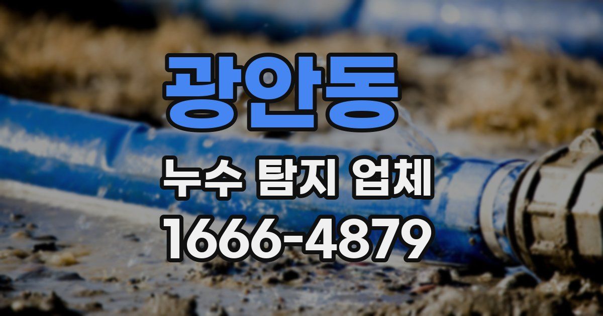 광안동 누수 탐지 업체