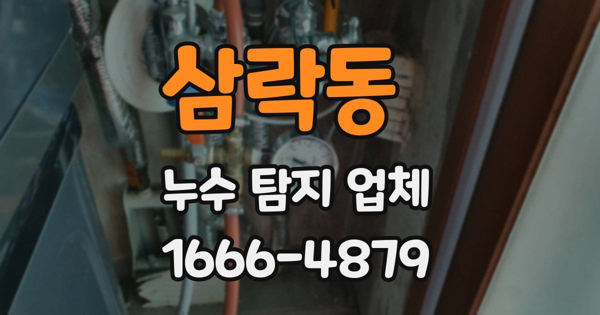삼락동 누수 탐지 업체