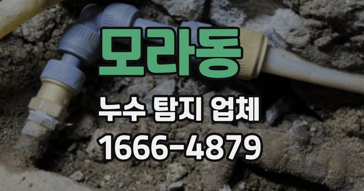 모라동 누수 탐지 업체