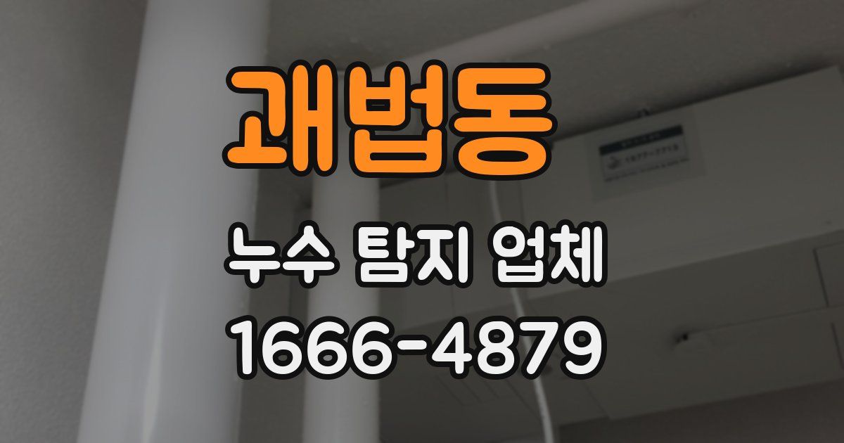 괘법동 누수 탐지 업체