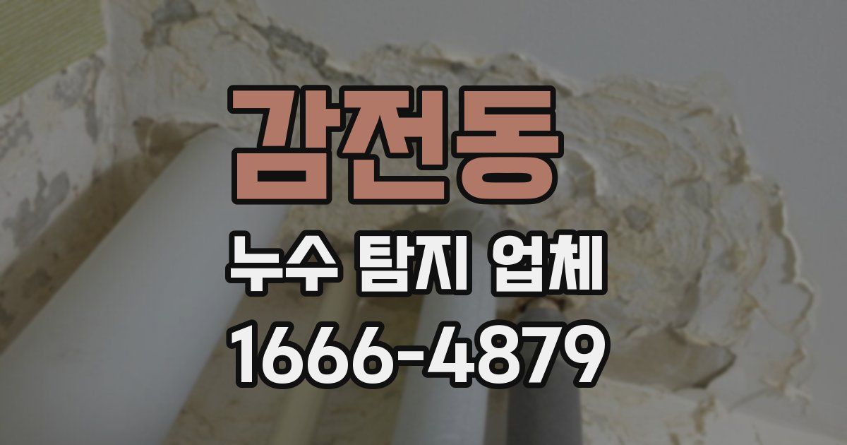 감전동 누수 탐지 업체
