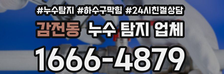 감전동 누수 탐지 업체