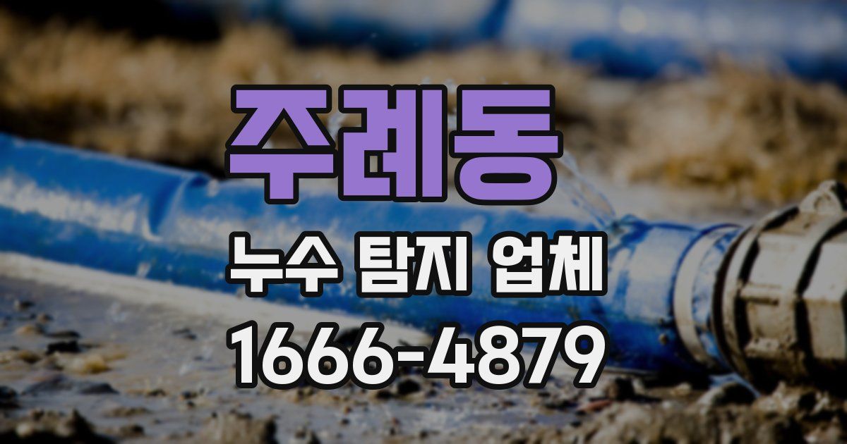주례동 누수 탐지 업체
