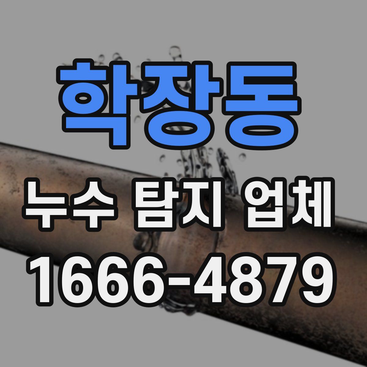 학장동 누수 탐지 업체
