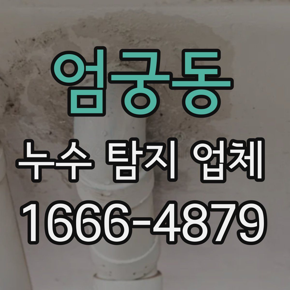 엄궁동 누수 탐지 업체