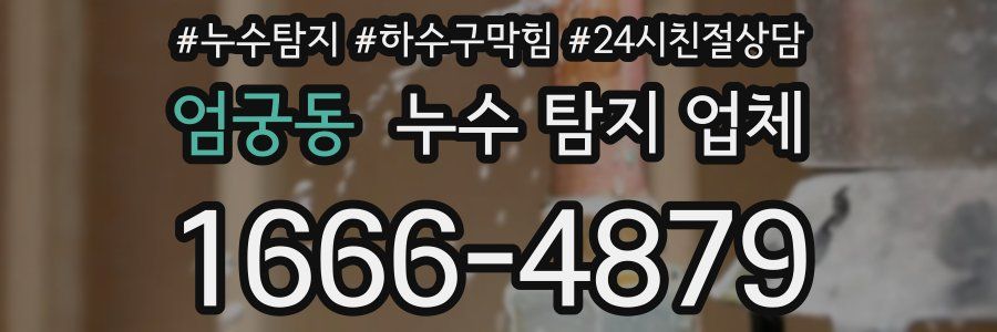엄궁동 누수 탐지 업체