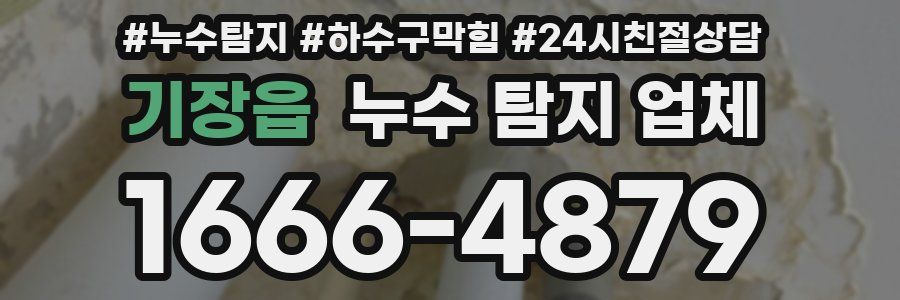 기장읍 누수 탐지 업체