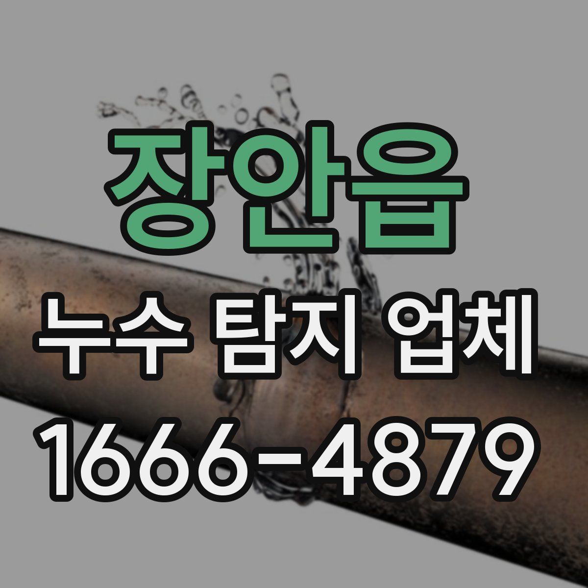 장안읍 누수 탐지 업체