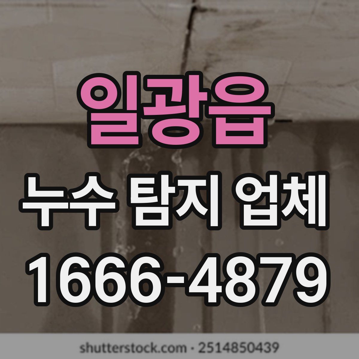 일광읍 누수 탐지 업체