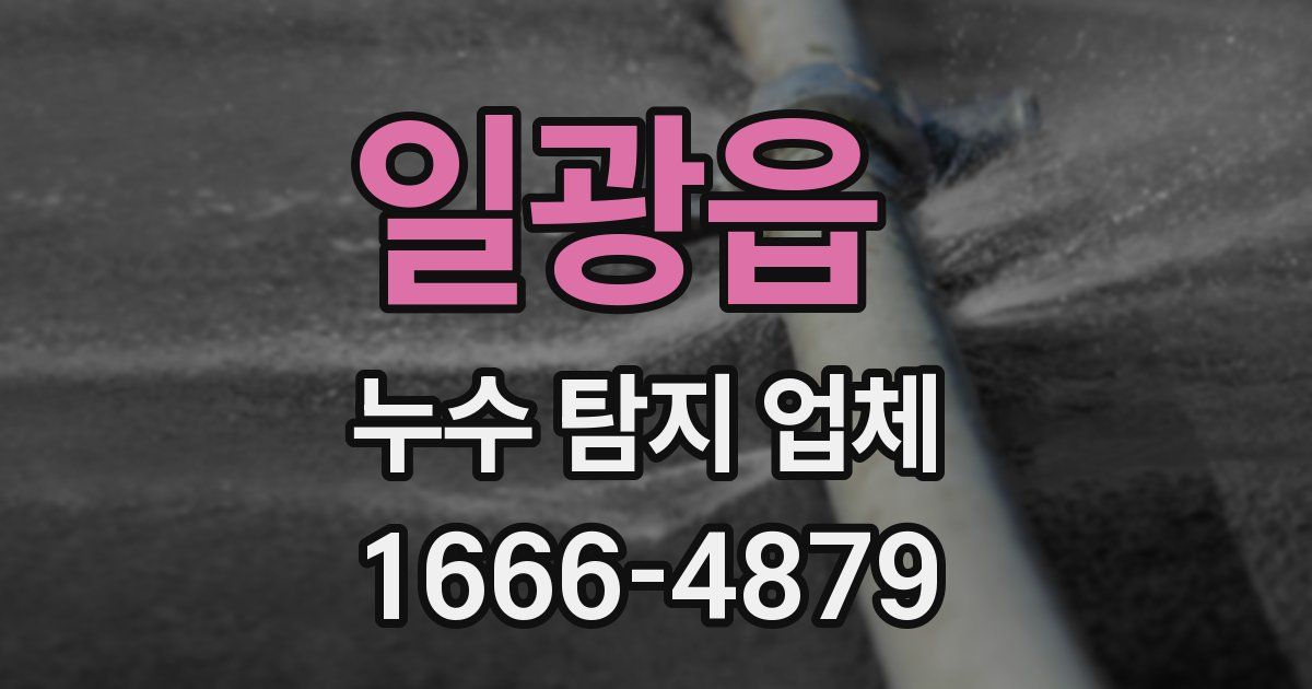 일광읍 누수 탐지 업체